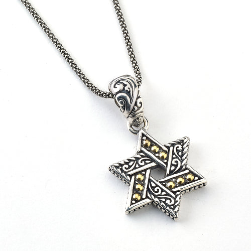 Load image 1 in gallery view. Men's Jewelry Sterling Silver & 18K Gold Star of David Pendant